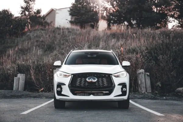 Casino Royal Panda Android/iOS App